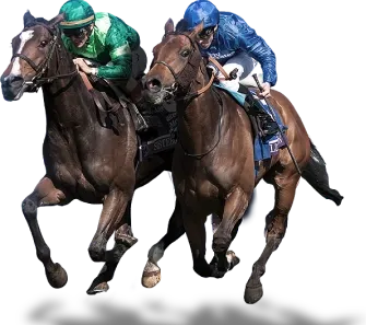 Analyse statistique sportive